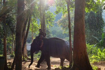 Tayland-Ko-Chang-Adasi-14