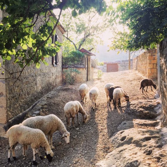 Adatepe - en guzel ege koyleri