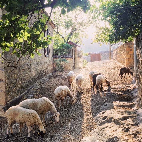 Adatepe - en guzel ege koyleri