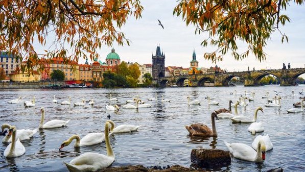 sonbaharda prag